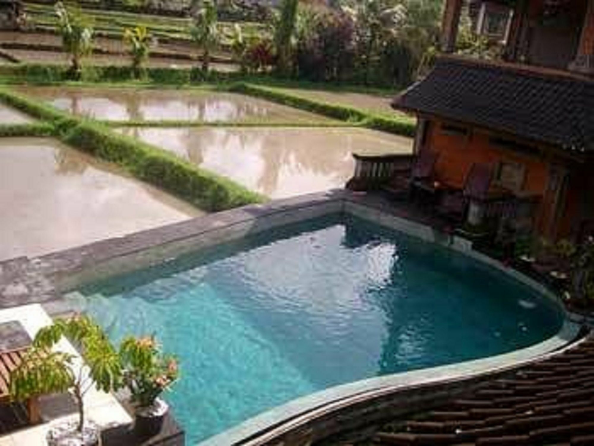 Ala'S Green Lagoon Ubud Zewnętrze zdjęcie