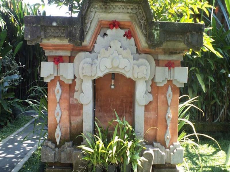 Ala'S Green Lagoon Ubud Zewnętrze zdjęcie