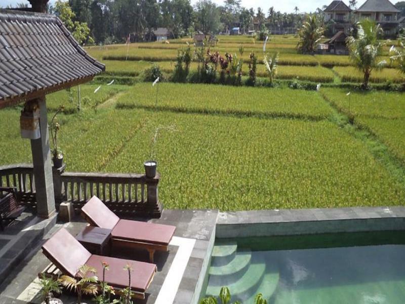 Ala'S Green Lagoon Ubud Zewnętrze zdjęcie