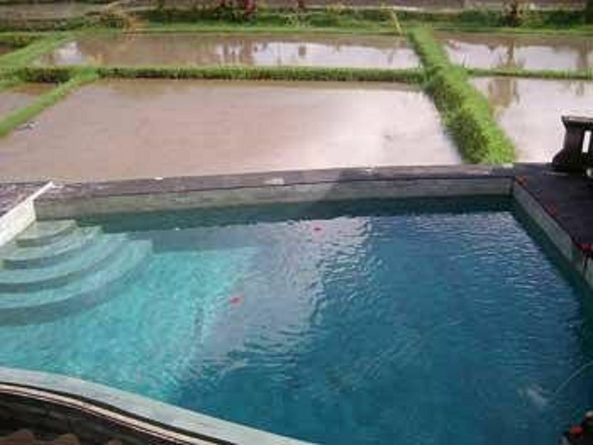 Ala'S Green Lagoon Ubud Zewnętrze zdjęcie