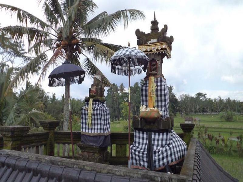 Ala'S Green Lagoon Ubud Zewnętrze zdjęcie
